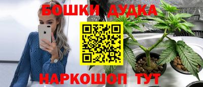 таблы Будённовск
