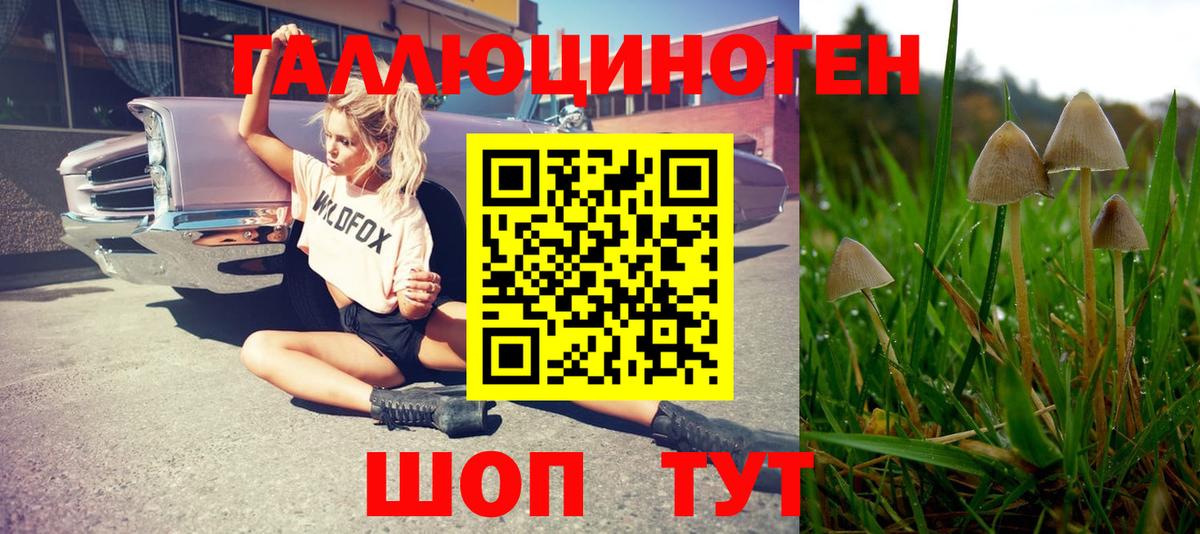 Псилоцибиновые грибы Psilocybine cubensis Самара