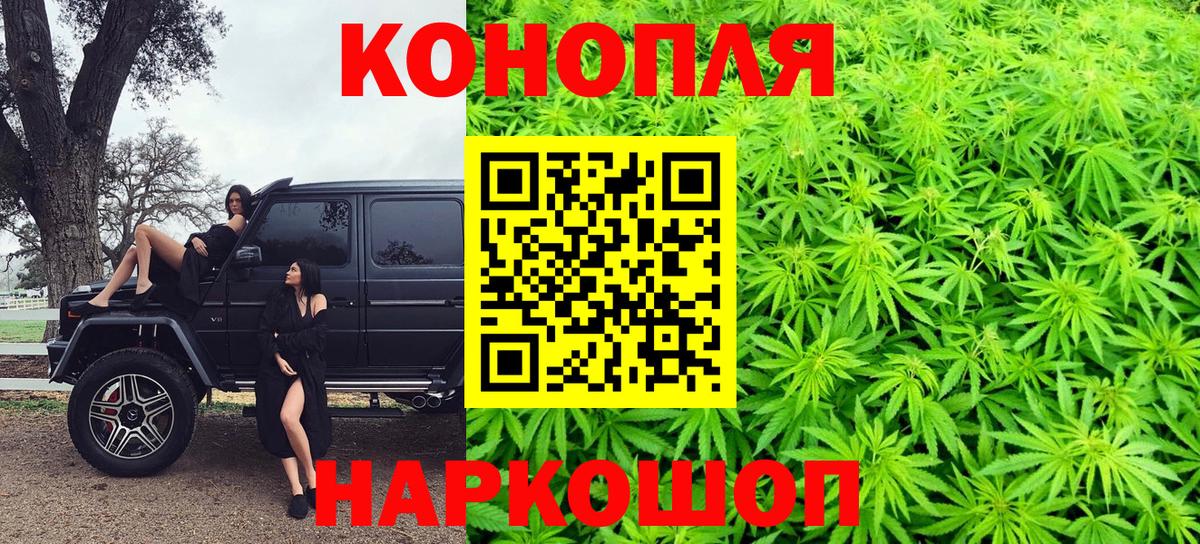 Марихуана сатива  Вход с VPN  МАРИХУАНА конопля  Самара  Конопля индика  Каннабис план 